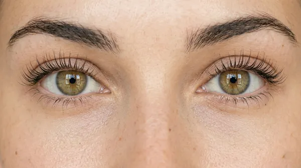 L’expertise au service de votre regard